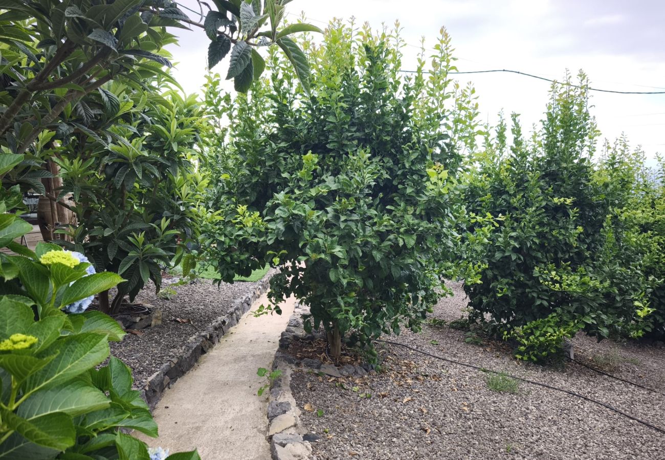 Casa rural en La Orotava - Finca El Lagado