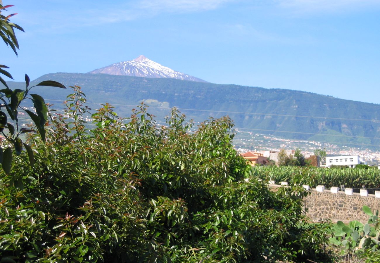 Cottage in La Orotava - La Casita del Barranco