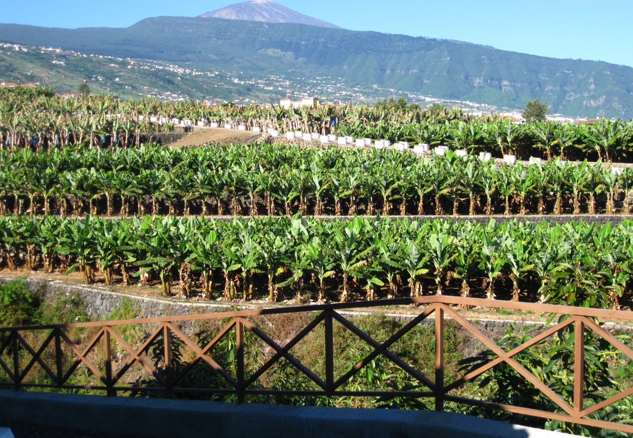 Cottage in La Orotava - La Casita del Barranco