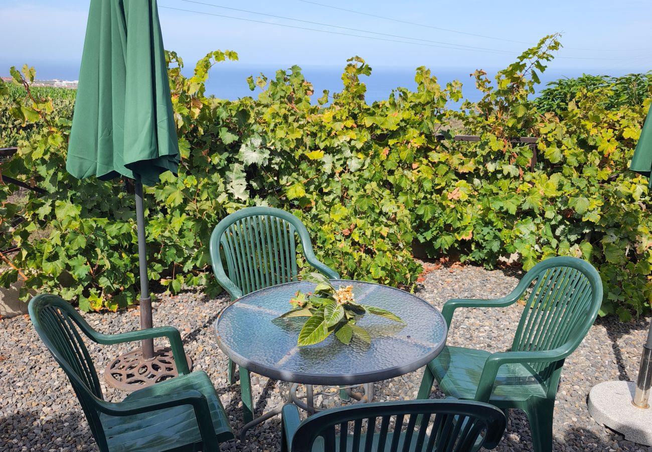 Cottage in La Orotava - La Casita del Barranco