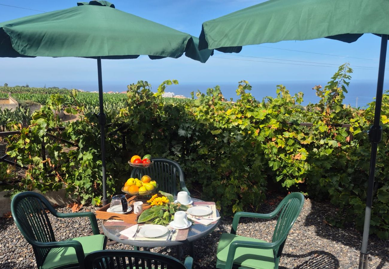 Cottage in La Orotava - La Casita del Barranco