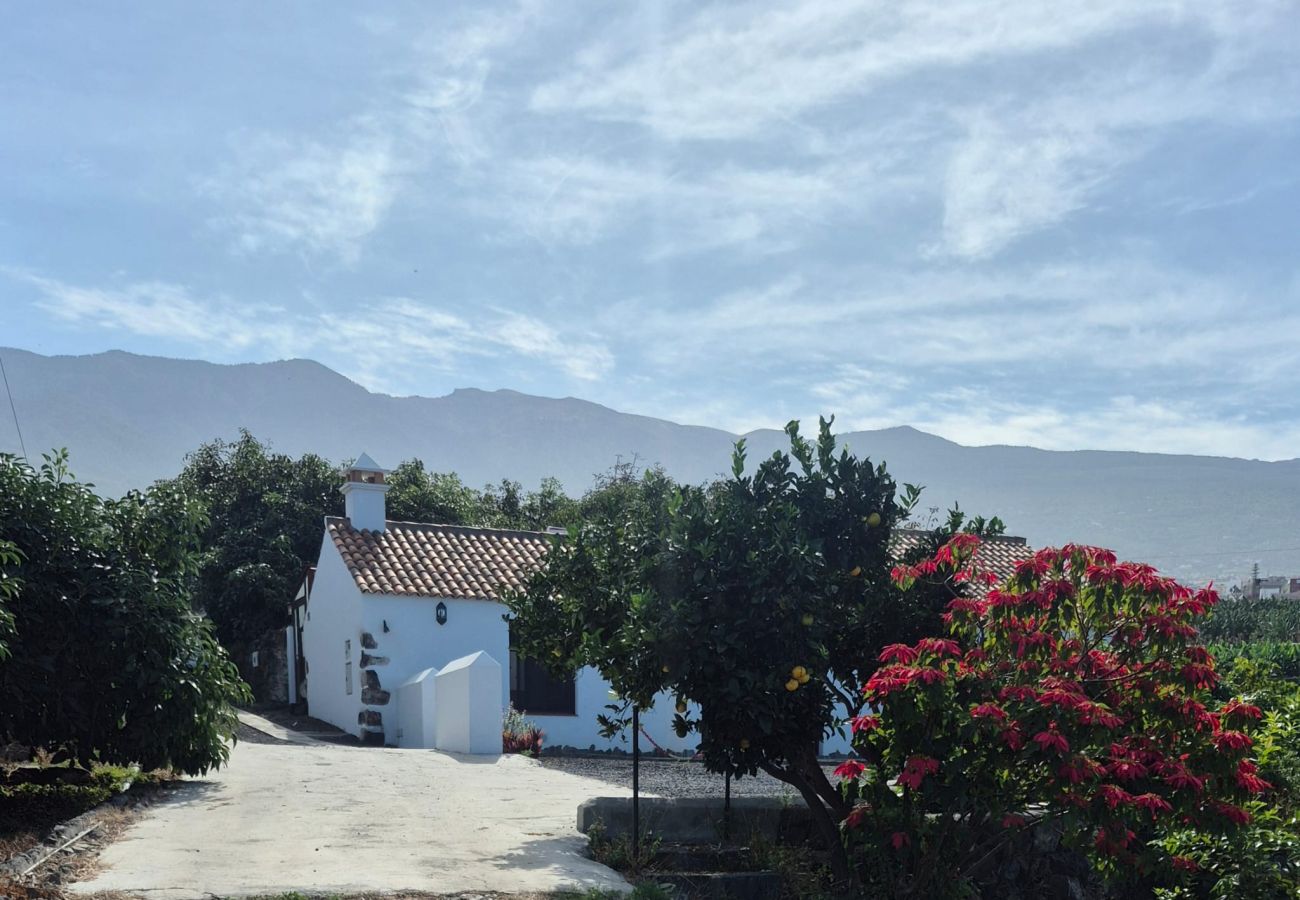 Cottage in La Orotava - La Casita del Barranco