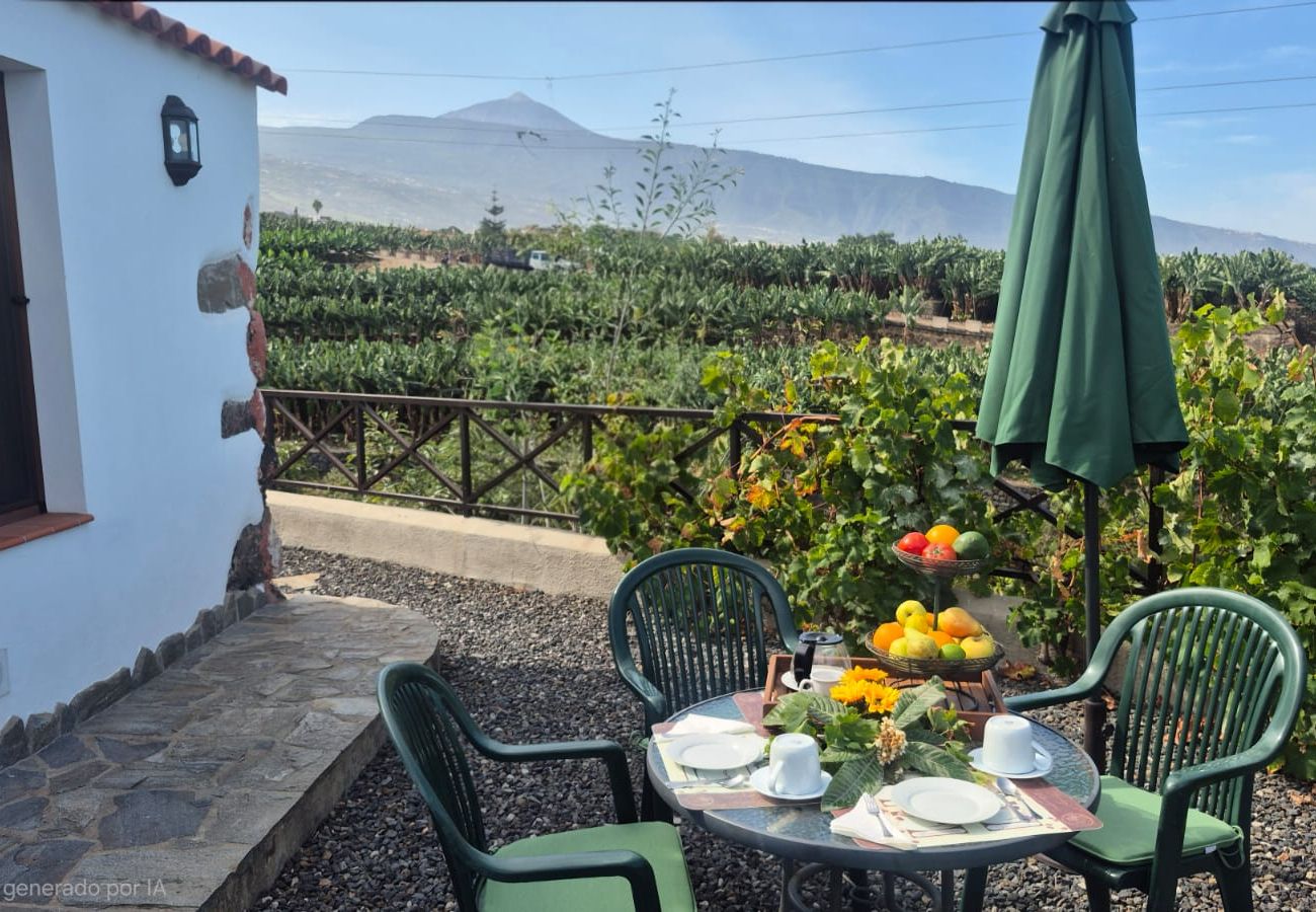 Cottage in La Orotava - La Casita del Barranco
