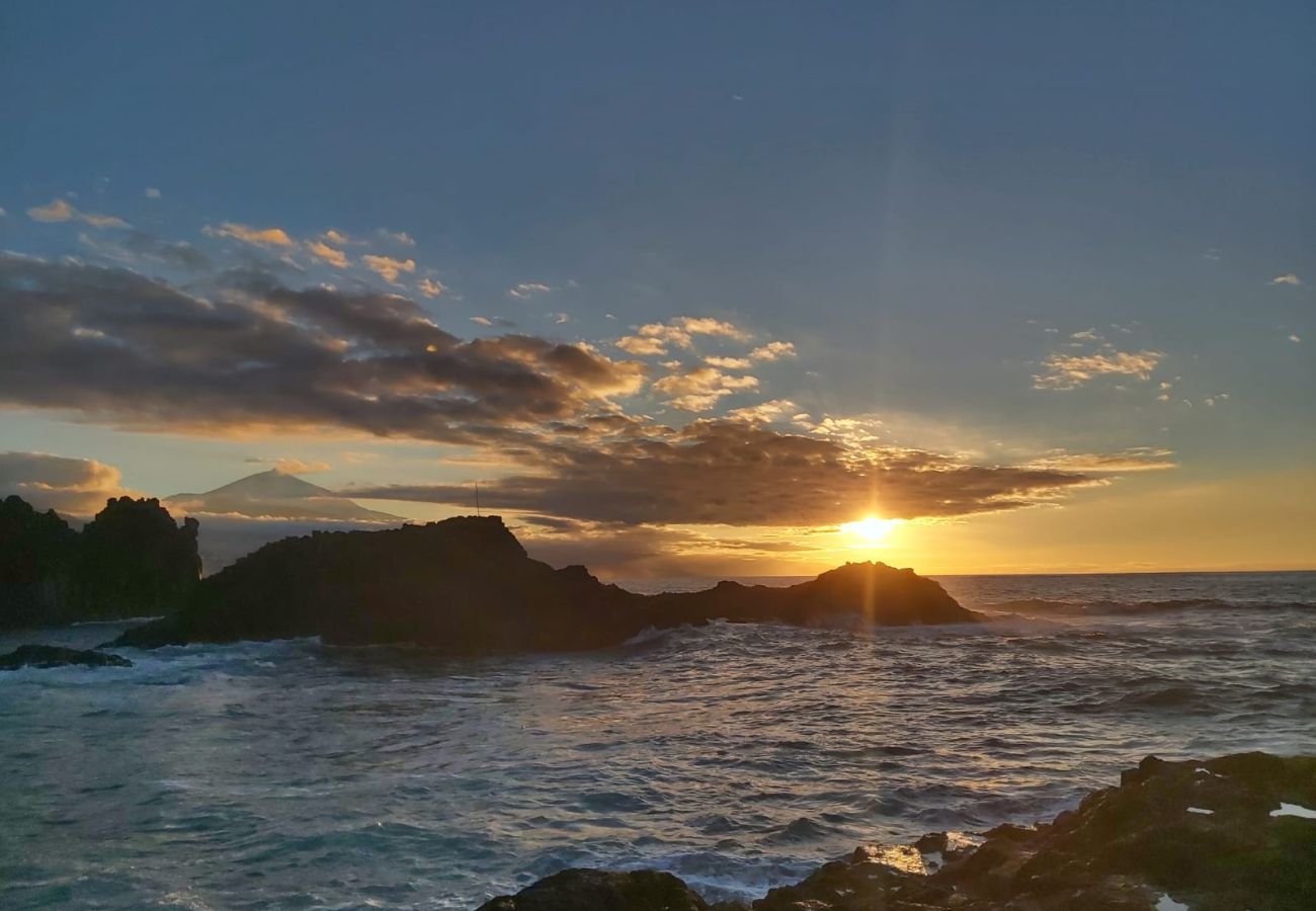 Apartment in Tacoronte - El Pris