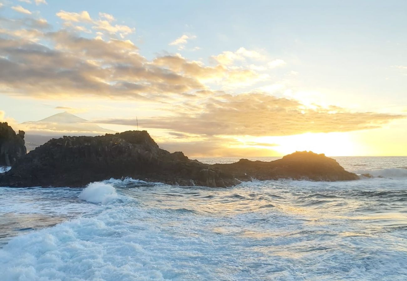 Apartment in Tacoronte - El Pris